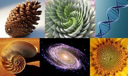 6photo n or